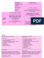 Plano Alimentar - Desafio Dos 7 Dias - Nutricionista Raquel Britzke PDF