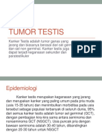 Tumor Testis