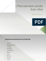 Sistem Pencernaan Ikan Mas