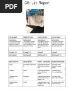 Csi Lab Report 1