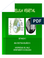 Célula Vegetal