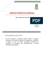 Aula 2 Insuficiência Renal Aguda, Crônica e Urolitíase