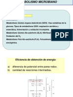 2 Metabolismo 1