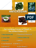 Antioksidan