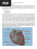 Circulacion Coronaria