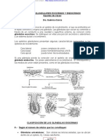 Apuntes Glandular