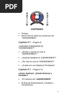 Judokickbox PDF