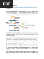 Dogma Central de La Biología Exposicion