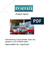 Project Report