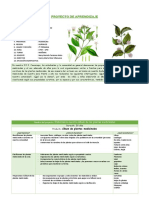 Proyecto de Aprendizaje Pirdais