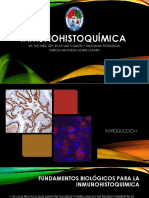 Inmunohistoquímica-Int 2017 HRDC