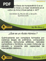 Arroz-Humiplex 50 G