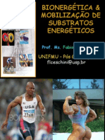 Bionergética e Substratos Energéticos