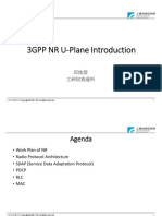 3.3GPP NR U-Plane Introduction - CCY