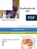 02 Clasificacion Del Sistema Nervioso