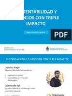 Webinar Sustentabilidad y Negocios Con Triple Impacto