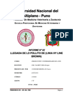 Informe 02 Llegada de Los Pollitos