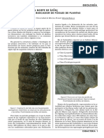 Fosiles Leon PDF