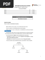 Al 2.1 Miscibilidade de Liquidos - Relatorio