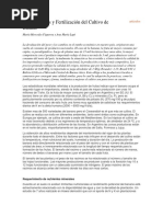 Características y Fertilización Del Cultivo de Banano