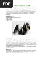 Informacion Sobre El Perro