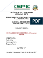 Informe Ensayo Fréjol