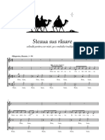 Serban Marcu - Steaua Sus Rasare (SATB)