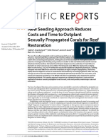 New Seeding Approach Reduces Costs and Time To Outplant Sexually Propagated Corals For Reef Restoration