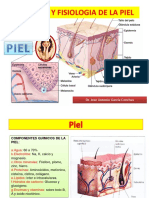 4 Anatomia y Fisiologia de La Piel