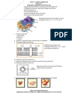 Soal Latihan Sel