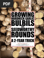 Revised Again - Growing Hardneck Garlic Bulbils Into Seedworthy Rounds: A 2-Year Trick