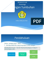 Jaringan Tumbuhan - Morfistum Farmasi