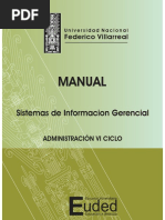 Sistemas de Informacion Gerencial