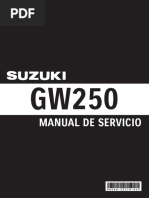 Manual de Servicio GW250