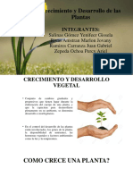 Crecimiento y Desarrollo de Planta