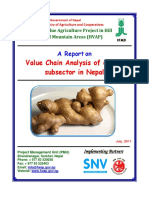 HVAP VCA-Reports Ginger