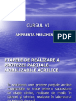 Cursul-6 Amprenta Preliminara Si Modelul