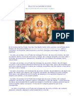 Sello de La Preciosa Sangre para Los Hijos PDF