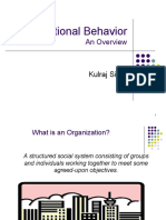 Organizational Behavior: An Overview