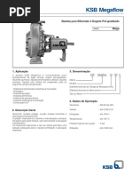 Megaflow PDF