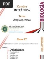 Clase 27 Angiospermas Bota