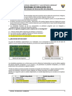 Prueba Diagnóstica Cta 1