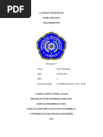 Laporan Kalorimeter