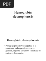 Hemoglobin Electrophoresis