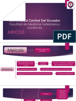 Meiosis