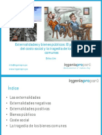 5 Externalidades PDF