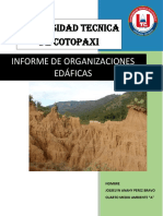 Informe de Organizaciones Edaficas - Anahy Perez