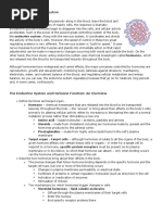 Chapter 9 The Endocrine System