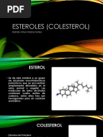  Esteroles (Colesterol) 