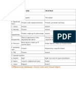 Comparison of Roots and Stems